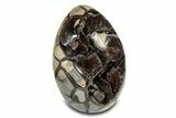 Septarian Dragon Egg Geode - Black Crystals #302863-1